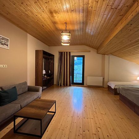 Hotel Axien Kazbegi Extérieur photo