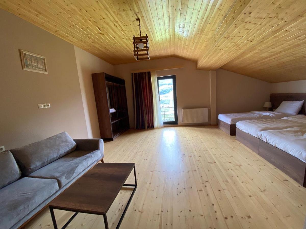 Hotel Axien Kazbegi Extérieur photo